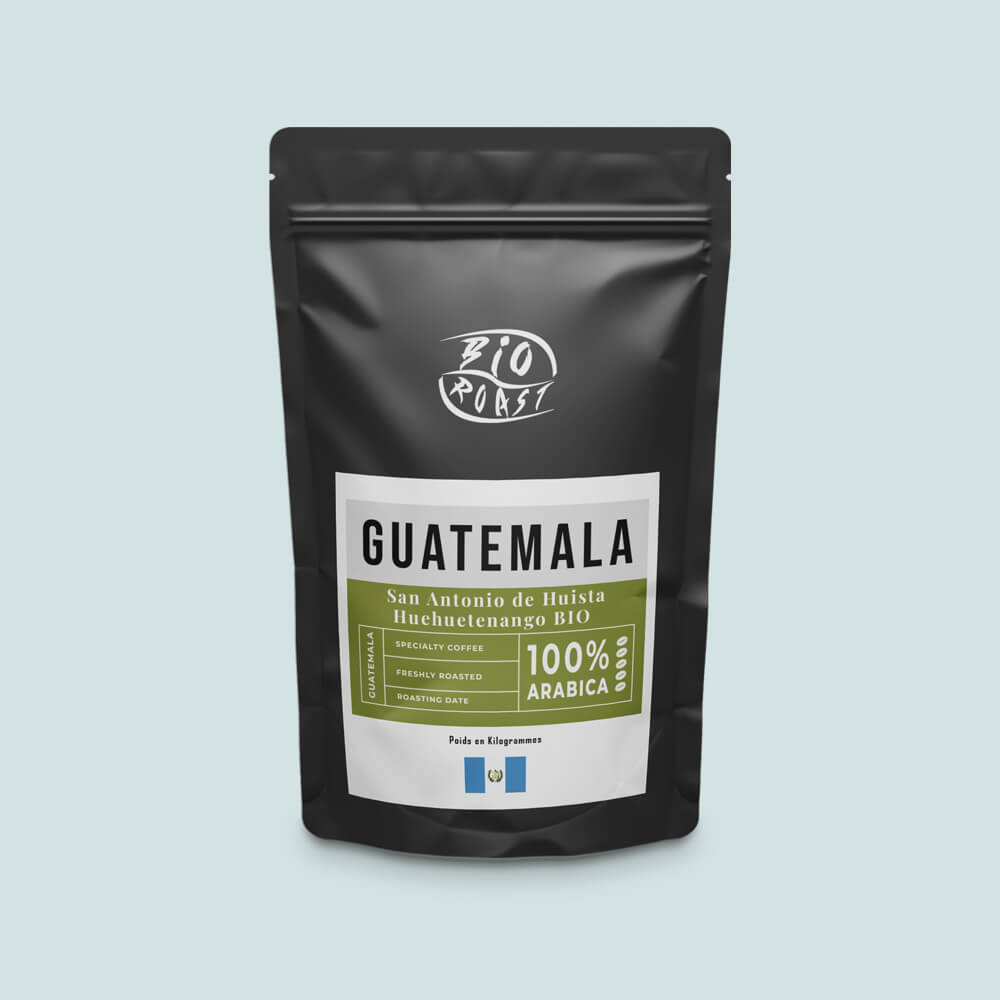 SAN ANTONIO DE HUISTA HUEHUETENANGO BIO